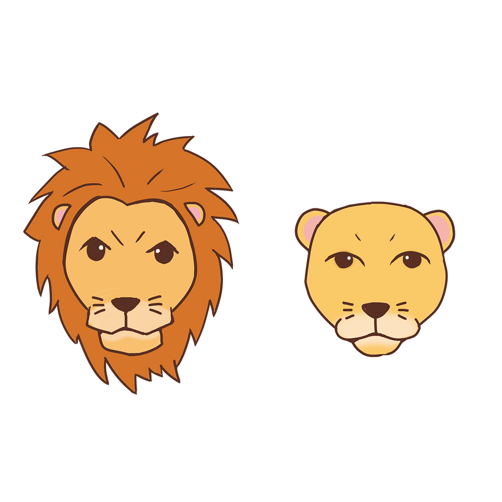 ライオン夫婦